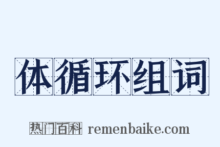 体循环组词是什么意思的图片